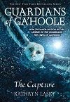 Guardians of Ga'Hoole: the Capture, created by Lulu